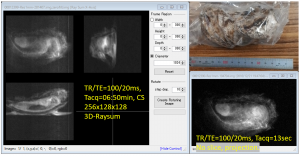 20161222_iwagaki_oyster_mri